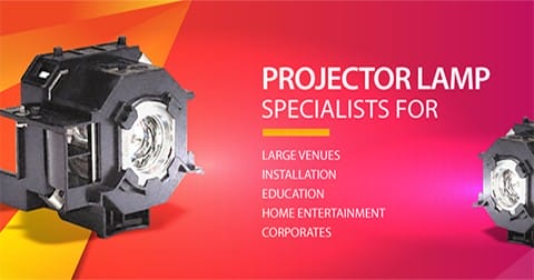 projector lamp specialist