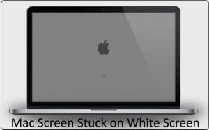Recover FromThe Dreaded White Screen Of Death When Booting A Mac Hyderabad
